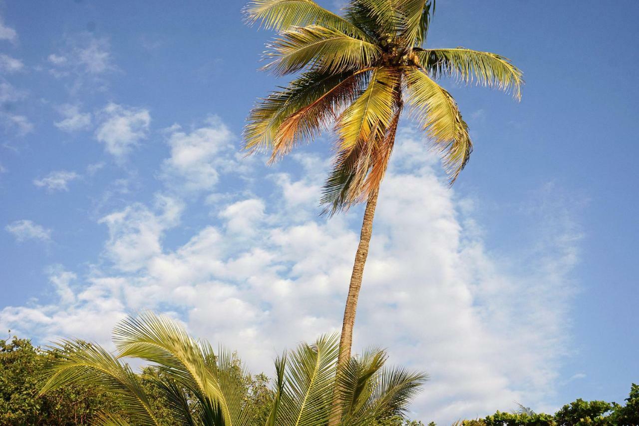 Villa Picasso Playa Santa Teresa  Экстерьер фото